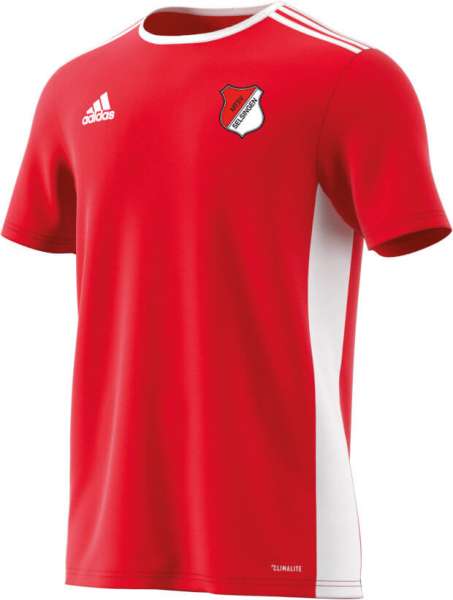 MTSV Entrada 18 Jersey - rot